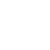 icons_party_white