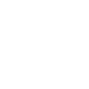 icon (1)