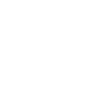 icon (2)
